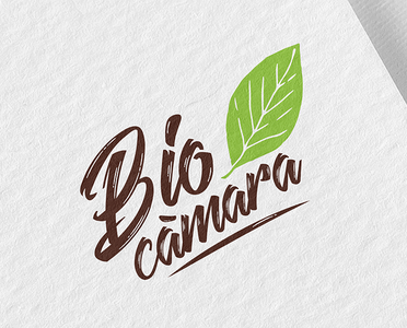 Biocămara – elaborare ghid de identitate