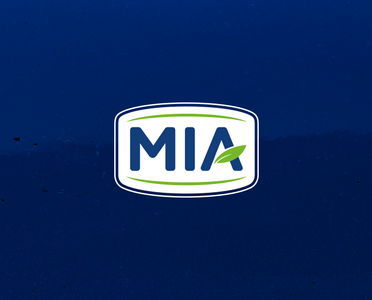 Elaborare logotip
